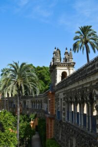 International school in Marbella